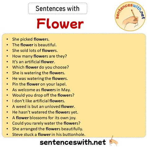 Sentences With Flower Sentences About Flower In English