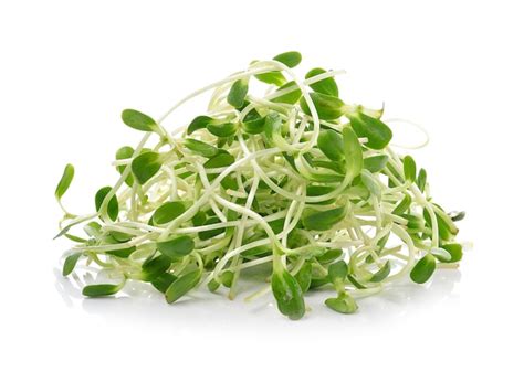 Images de Salade Verte Png Transparent Téléchargement gratuit sur Freepik