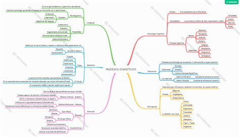 Procesos Cognitivos Mapa Mental Procesos Cognitivos Psicologia