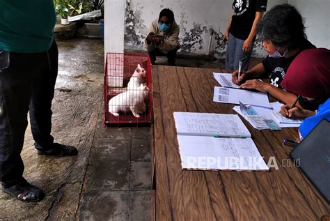 Melihat Proses Vaksinasi Rabies Gratis Untuk Hewan Di Yogyakarta