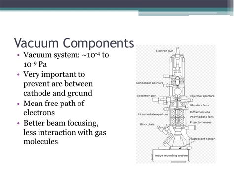 Ppt Transmission Electron Microscopy Tem Powerpoint Presentation