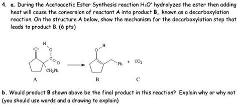 SOLVED During The Acetoacetic Ester Synthesis Reaction H3O Hydrolyzes