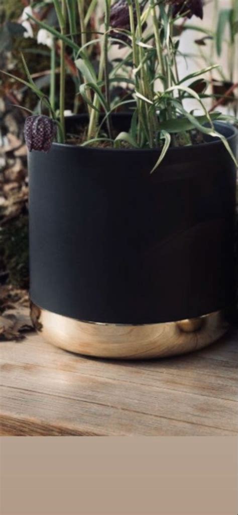 Gold Plant Pot Mands Okejely Garden Plant