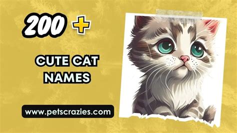 200+ Cute Cat Names - Unique & Sweet Choices