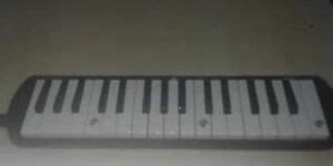 Spam Hot Not Tnaflix