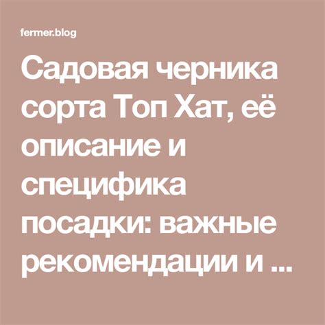 Садовая черника сорта Топ Хат, её описание и специфика посадки: важные ...