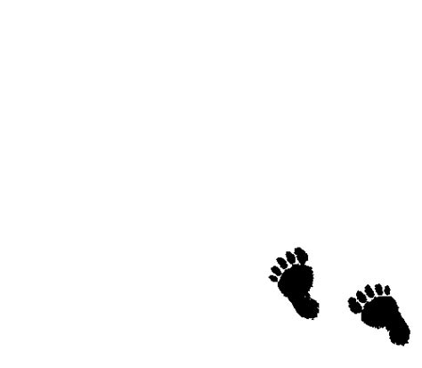 Footprints Sticker By Bigfoot Donuts