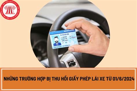 Những Trường Hợp Bị Thu Hồi Giấy Phép Lái Xe Từ 0162024 Trình Tự Thu