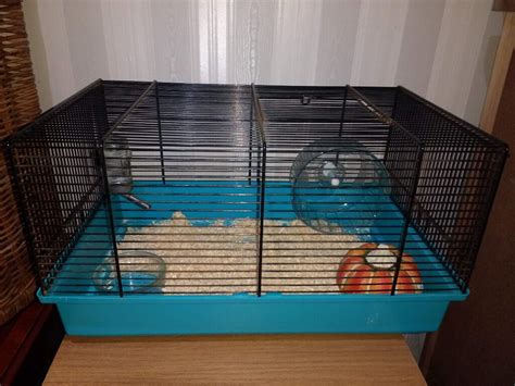 Still available! Dwarf Russian Hamster + Cage + Accessories | in ...