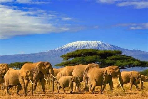 Kilimanjaro Bezienswaardigheden Tanzania