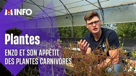 Enzo Cultive Des Plantes Carnivores YouTube