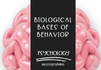 AP Psychology Biological Basis Of Behavior PowerPoint 12 Unit Path