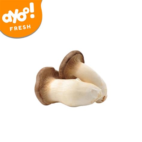 Jual Jamur King Oyster 200 G Pack Shopee Indonesia