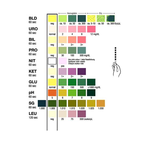 Test It 10 Full Panel Urinalysis Test Strips Homedoc