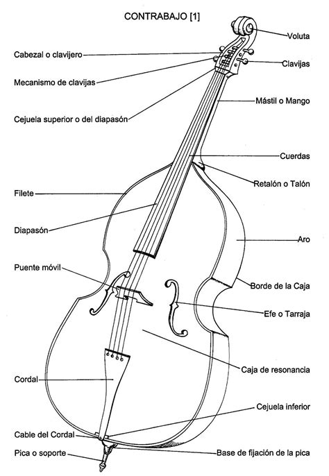 Contrabajo Wikipedia La Enciclopedia Libre Contrabajo