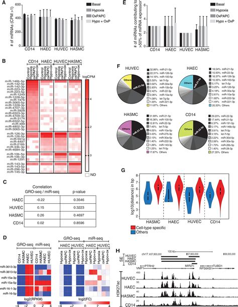 Profiling Of Primary And Mature Mirna Expression In Atherosclerosis