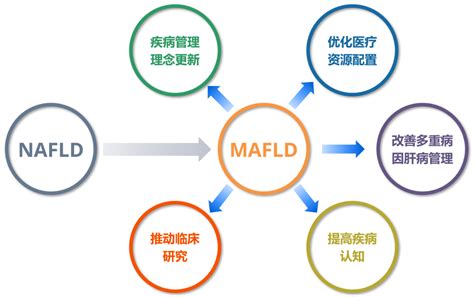 Mafld更名获中华医学会肝病学分会认可诊断