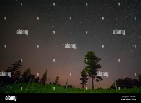 Astrophotography Over A Silhouetted Rural Treeline In Summer Stock