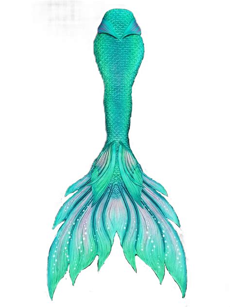 Mermaid Tails Png Clip Art Library Sexiezpix Web Porn