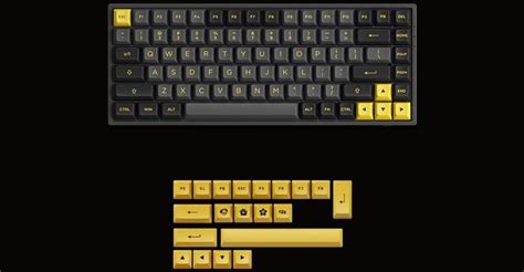 Buy Akko B Plus Black Gold Rgb Hot Swap Ttc Demon Switch