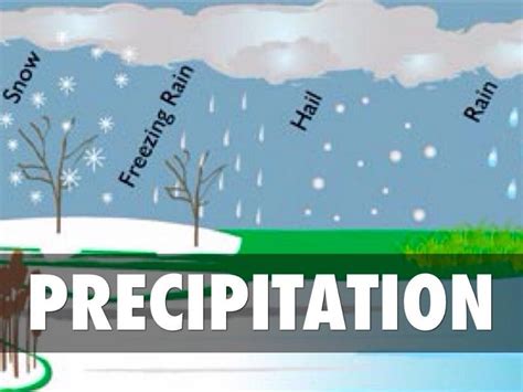 Water Cycle Precipitation