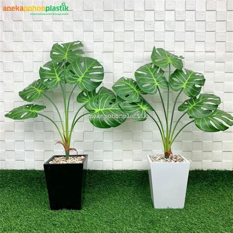 Jual Pohon Plastik Tanaman Hias Daun Monstera X Latex Pot Kayu