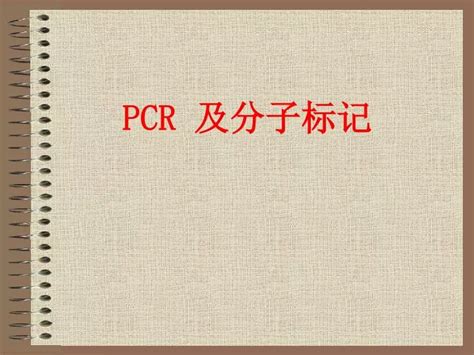 Ppt Pcr 及分子标记 Powerpoint Presentation Free Download Id 3157431