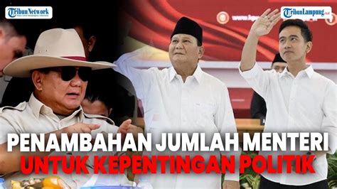 Pengamat Duga Penambahan Jumlah Menteri Di Kabinet Prabowo Untuk