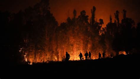 Chile Comunica Que Hay Más De 300 Incendios Forestales Activos En El