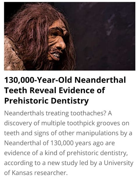 130000 Year Old Neanderthal Teeth Reveal Evidence Of Prehistoric Dentistry Neanderthals