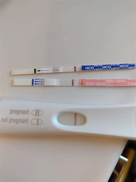 Of Positive Pregnancy Tests By Dpo at James Ivery blog