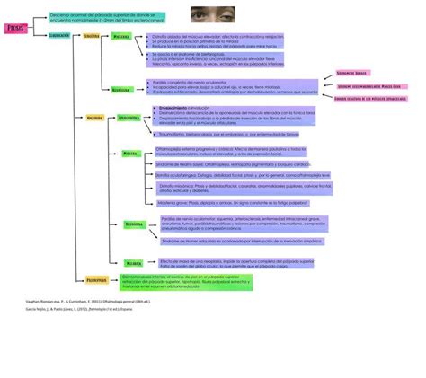 Clasificaci N De La Ptosis Palpebral Iovanny Cruz Ojeda Udocz