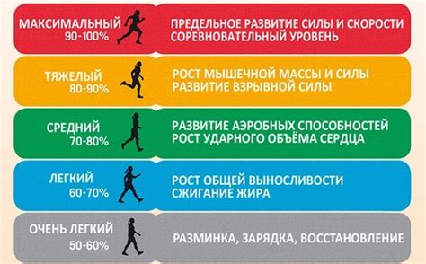 Пульс при беге: какой должна быть, норма ЧСС, зоны и бег на низком пульсе