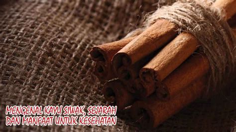 Mengenal Kayu Siwak Sejarah Dan Manfaat Untuk Kesehatan