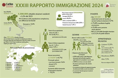 Rapporto Immigrazione Schede Di Sintesi Comunicato Infografica