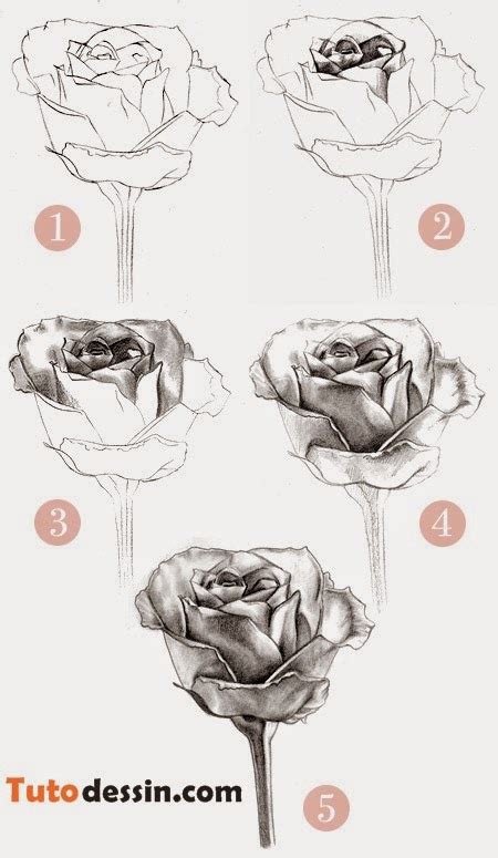 Tuto Dessin Comment Dessiner Une Rose Tapes Par Tapes