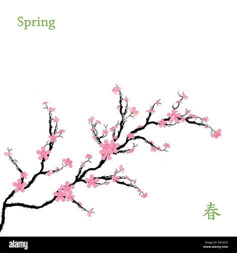 Spring Cherry Blossoms Stock Vector Image And Art Alamy