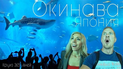 ЯПОНИЯ. ОКИНАВА. Самый Большой Океанариум В Мире - YouTube