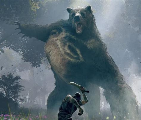 Where Do Rune Bears Land In The Pecking Order Rwhowouldcirclejerk