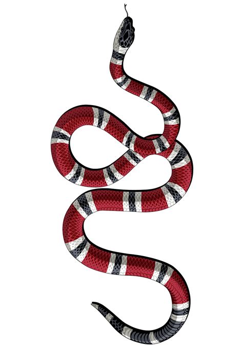 Kingsnakes Png Free File Download Png Play