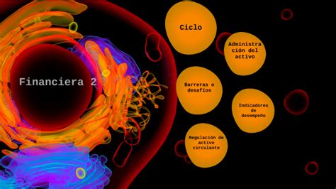 Ciclo De Conversi N Del Efectivo By Oscar Xitumul On Prezi