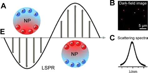 A Schematic Description Of Localized Surface Plasmon Resonance In Download Scientific Diagram