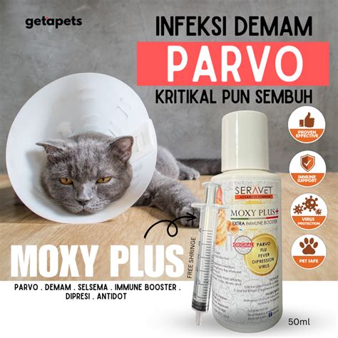 Moxyplus Ubat Demamselsema Parvo Jangkitan Virus And Immune Booster