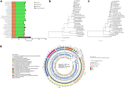 Frontiers Biocontrol Potential Of Bacillus Subtilis Ctxw