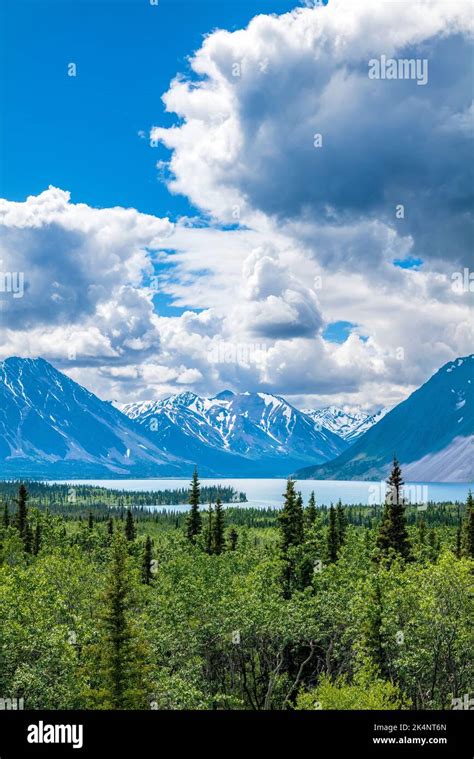 Panorama View West Of Saint Elias Mountains Kluane National Park