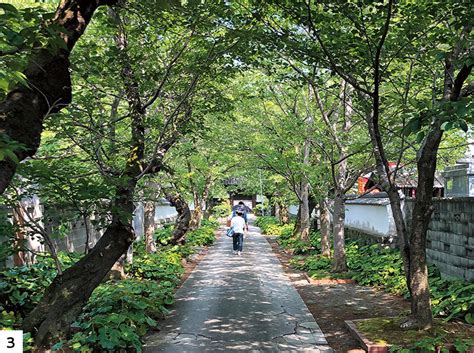 ふくおか 新・日常の旅4 八女市本町｜グラフふくおか 2022 Spring