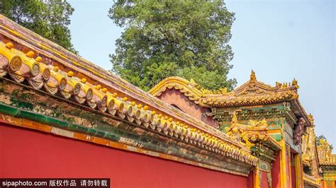 City Wall Of Forbidden City