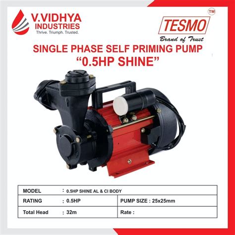 Tesmo Hp Self Priming Pumps At Rs Piece Texmo Self Priming