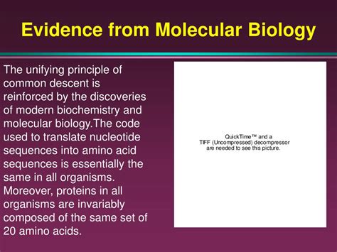 Ppt Some Theoretical Perspectives On Human Sexuality Powerpoint Presentation Id349322