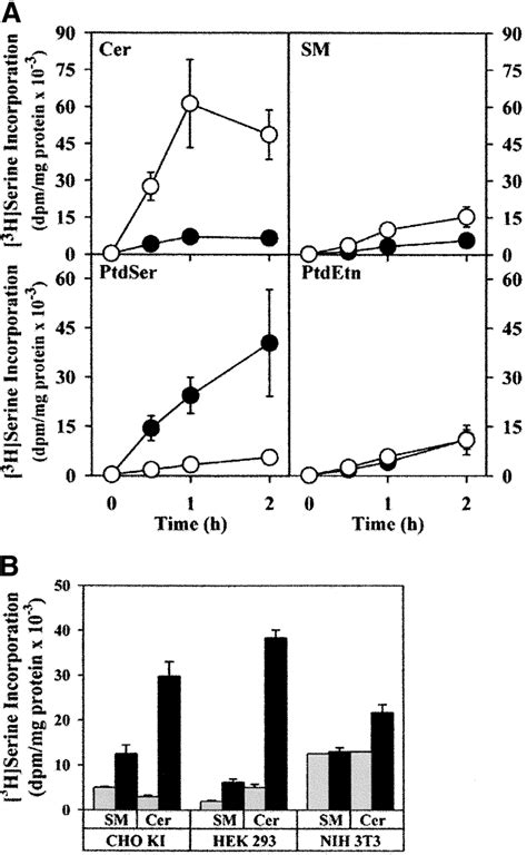 Stimulation Of De Novo Ceramide Synthesis In D609 Treated Cells A